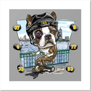 Boston Terrier Dog with Black Hockey Helmet Posters and Art